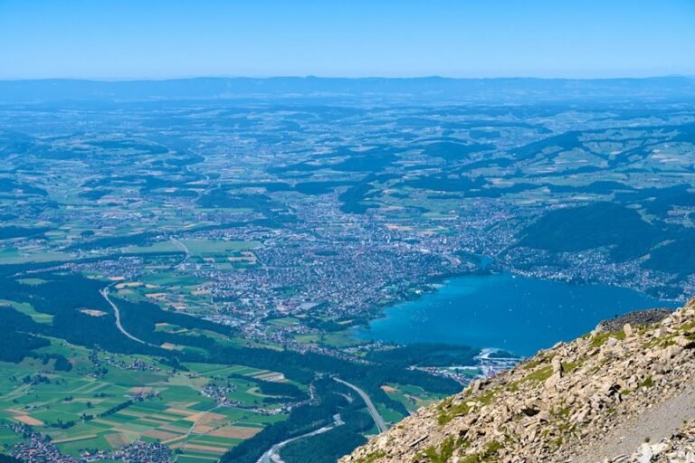 identifier mapping document summary